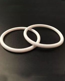 PTFE Rings Manufacturer in India