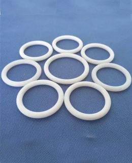PTFE Rings Stockist in India
